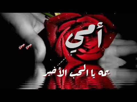 يمه يا قلب الكبير