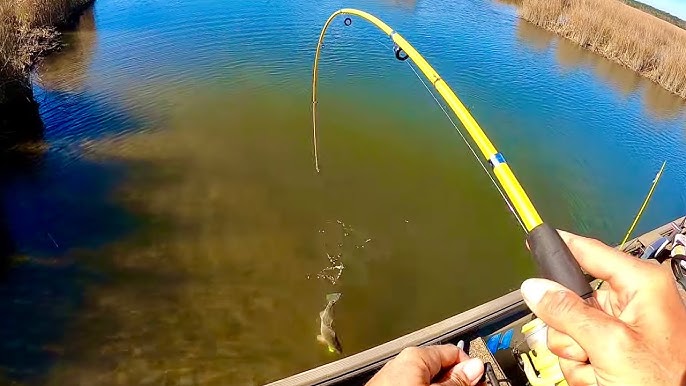 Retractable Fishing Rod Review: Eagle Claw Pack It vs. Quantum Embark 