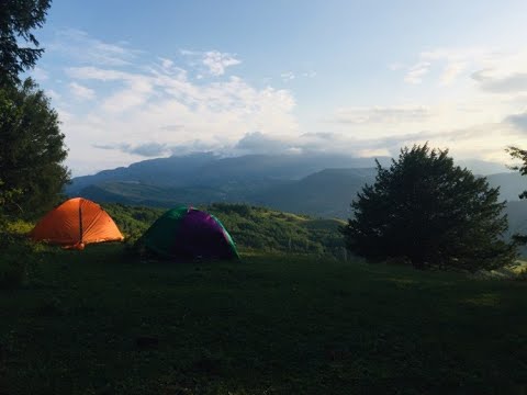 : : : გუდულაში Roots