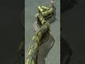 Extreme Train Running Through Curved Railroad Tracks 💥🤯 BeamNG.Drive Train simulator 3D #shorts