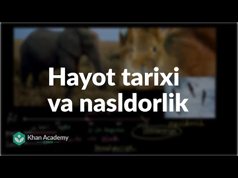 Video: Ekologiyada hayot tarixi nima?