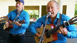 Pajaro Bobo - Tropicales del Guavio