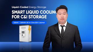 261kWh Liquid-Cooled ESS Cabinet | 125kW C&I Energy Storage | SunArk Power