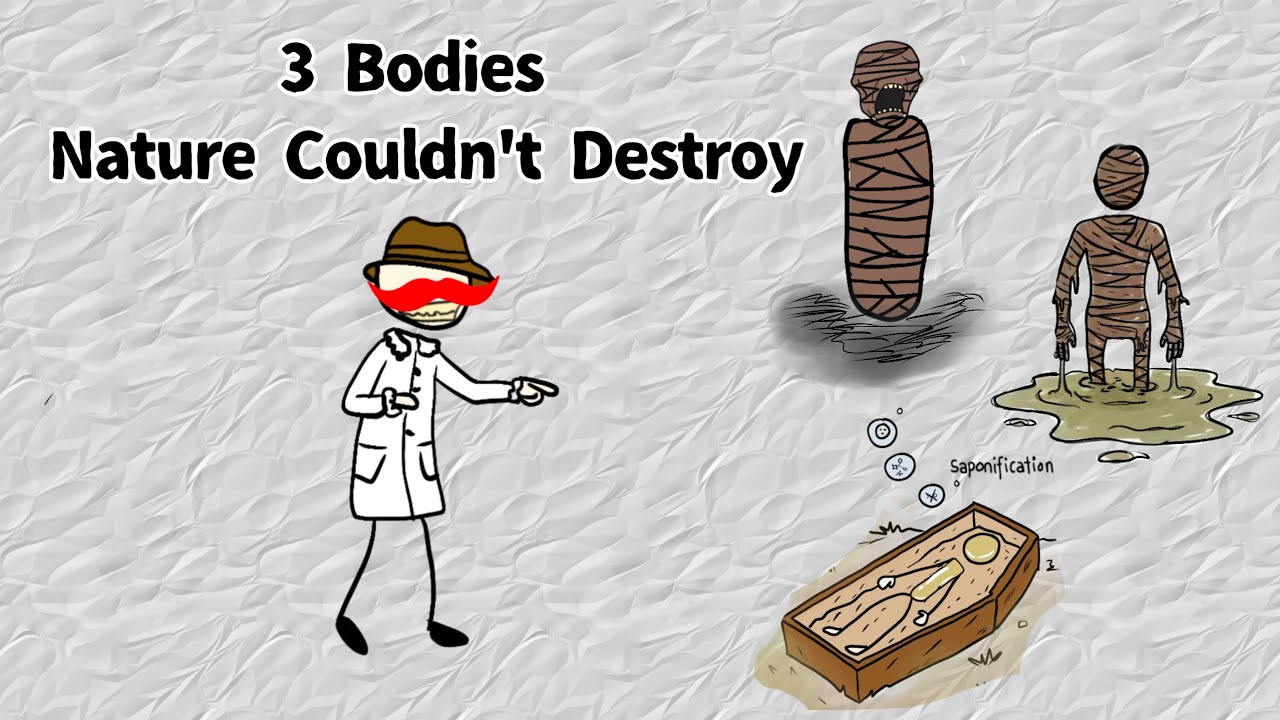 The Origin of the World’s Strangest Bodies: Soap Lady, Melting Mummies & Eternal Screams