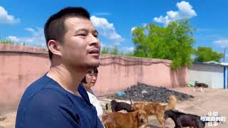 一份托付，救助人奔赴。专程从鸡西赶往哈尔滨刘丽救助站。受一位爱心姐姐郑重托付，由我们救助站代为运送价值十万元的物资，送到刘丽大姐手上。一份托付，就是一份沉甸甸的责任