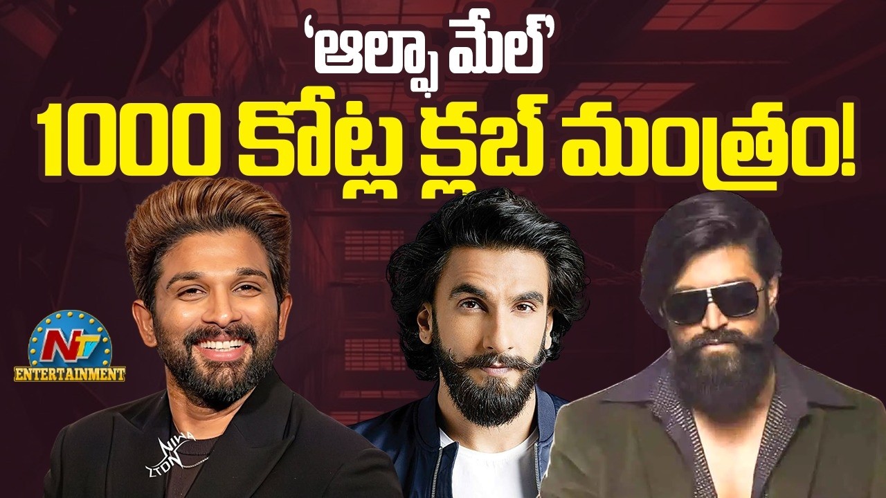 Rise of Alpha Male Characters in Indian Cinema | Allu Arjun | Ranveer Singh | Yash || NTVENT