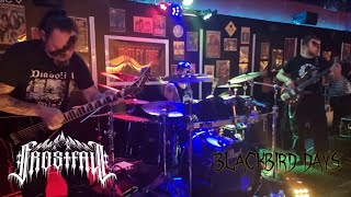 Frostfall - Blackbird Days