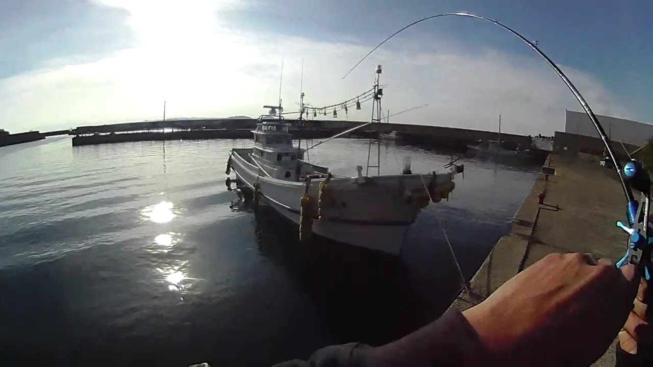 出航リアクションバイトの魚を捕る！！ - YouTube