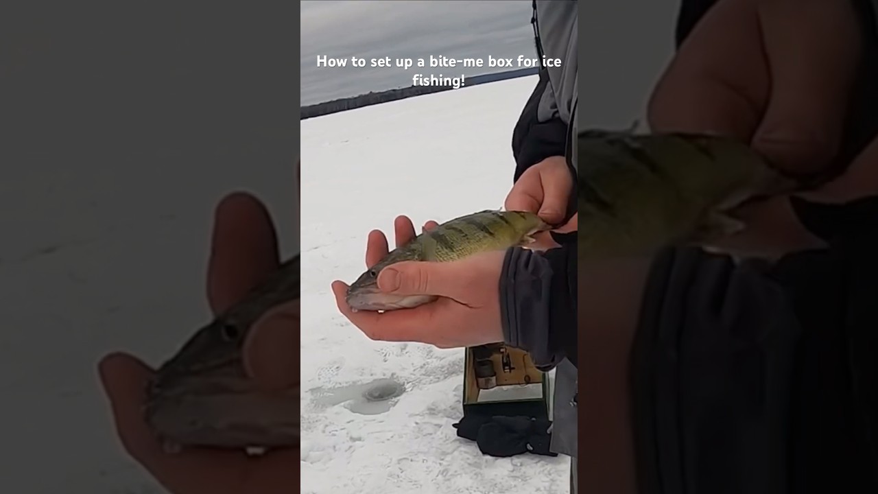 1rod 1 reel fishing I CAUGHT A MONSTER BASS!!!!! (First Fish in NEW BOAT)