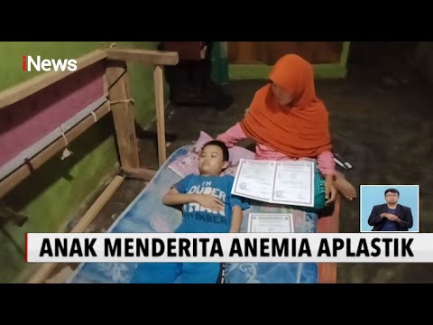 Idap Penyakit Anemia Aplastik, Remaja 13 Tahun Butuh Bantuan - iNews Siang 04/12