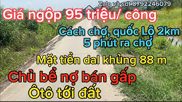 Chủ bể nợ bán gấp, 95 triệu/ công , có sẵn nhà vườn dừa , mặt tiền lộ dal khủng 88 m, chợ 5phut,
