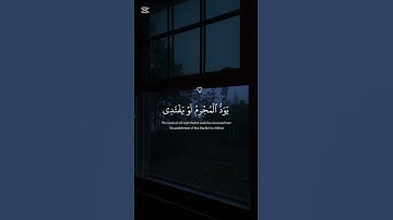 فاصبر صبرا جميلا - القارئ ماهر المعيقلي  #قرآن #راحة_نفسية #القرآن_الكريم #foryou