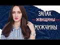 ТОП 10 МУЖСКИХ АРОМАТОВ / ЛУЧШИЕ ИЗ ЛУЧШИХ / МОЙ ВЫБОР