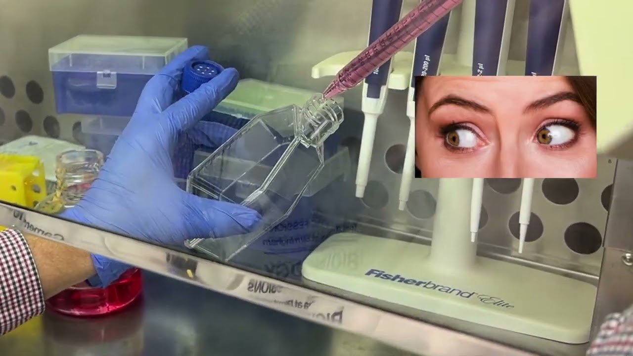 Plating Cells from Frozen Stock