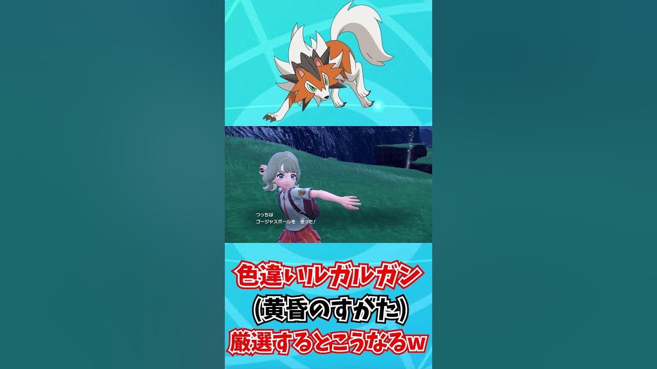 ポケモンsv ルガルガン黄昏のすがたの色違い厳選したらこうなりますｗｗｗｗｗｗ ポケモンバイオレットスカーレット Youtube