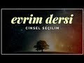 Evrim Dersi 9: Cinsel Seçilim Evrim Dersi 9: Cinsel Seçilim