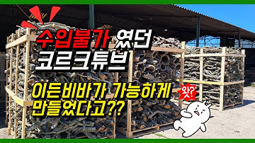 포르투갈 코르크튜브 어떻게 한국으로 수입해?