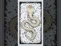 See what a King Cobra snake hood skeleton looks like 🐍 #shorts #bonecleaning #timelapse