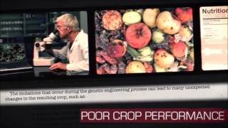 GMO Digital Story Project