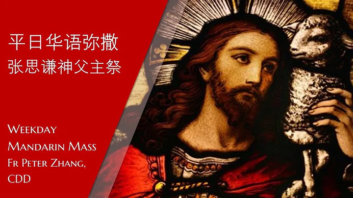 2022.12.26 主徒会.张思谦神父主祭 Mandarin Mass celebrated by Fr Peter, CDD - DayDayNews