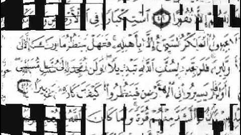 سورة فاطر بصوت الشيخ سعد الغامدي