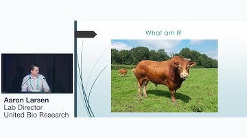 Customizing Genomic Profiles for Dairy and Beef Cattle Using Targeted GBS - Aaron Larsen