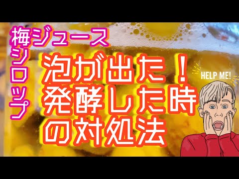 梅シロップが発酵したらどうすればいいの？