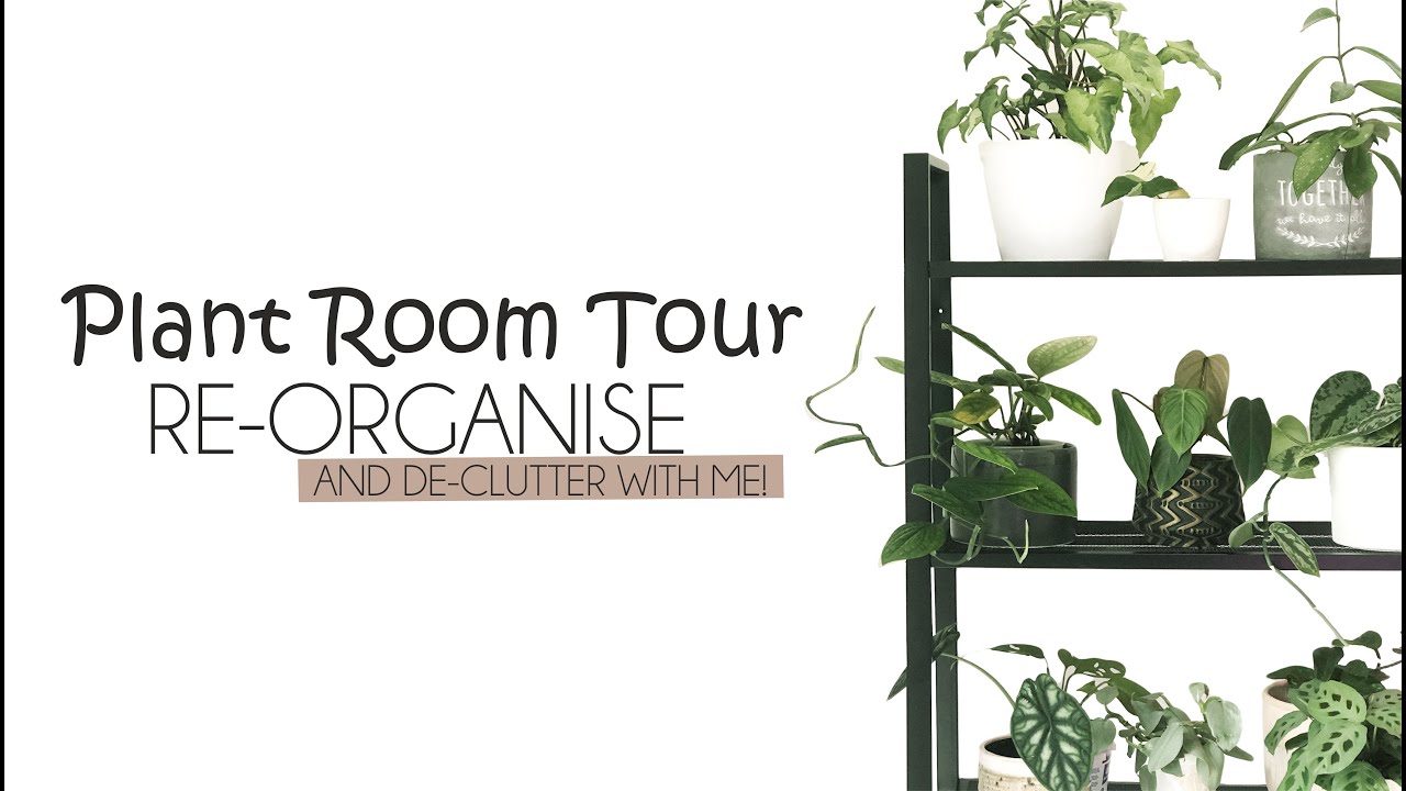 PLANT ROOM TOUR | Decluttering, Cleaning and Reorganising my plant room