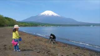 富士山と柴犬と幼女