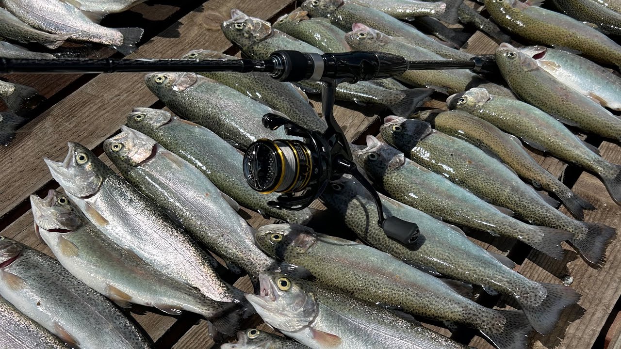 Alabalık Çiftliği Patladı Kafeslerden 10.000 Alabalık Kaçtı !!