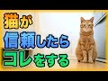 猫が心の底から信頼している人にしか見せない行動8選