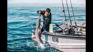 Ben Zebic Fishing For Bluefin And Gummy Sharks In His Stabicraft 1410