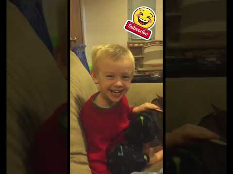 Child’s adorable reaction to the Home Alone 2 brick scene #homealone #funny