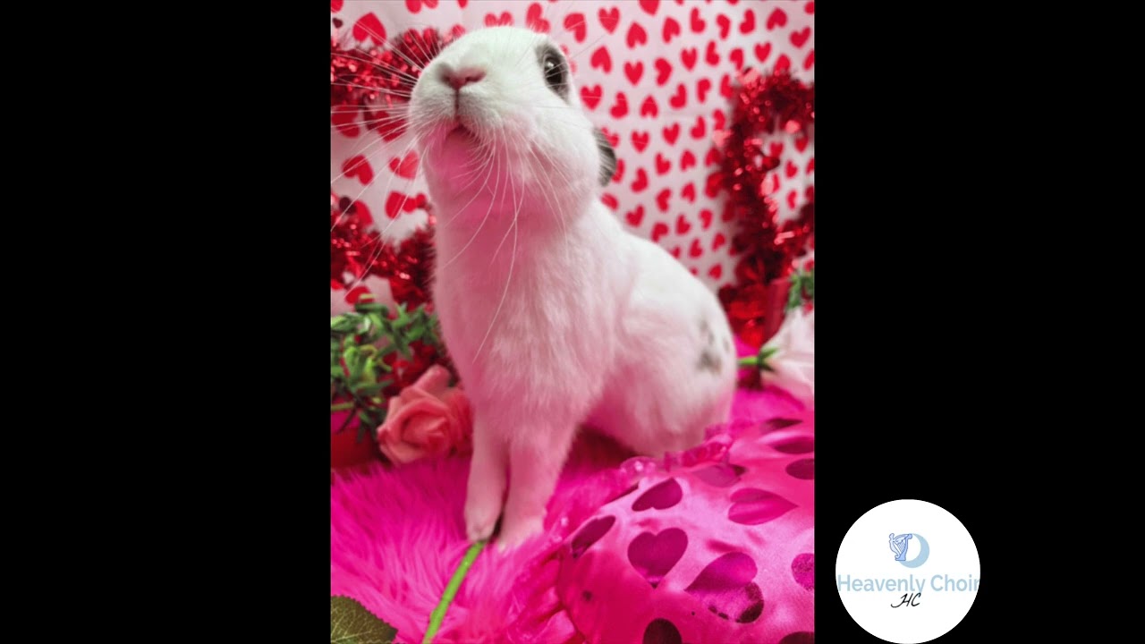 Lord I Need You Piano