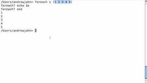 Unix for Neuroimagers 7: For Loops and Shell Scripting