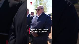 Лукашенко: Шарлатаны сидят на этой технике! #shorts #лукашенко #новости #политика #беларусь