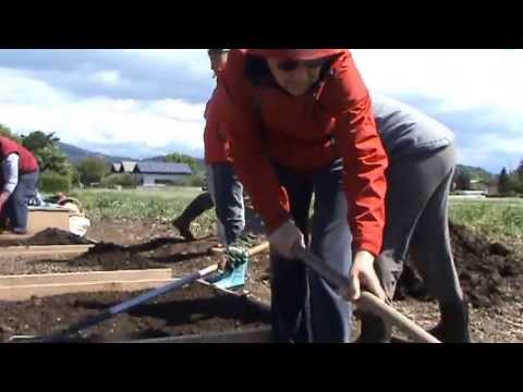 Video: Postavitev Vrta - Priprava Na Sajenje Zelenjave Na Gredicah