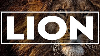 Lion Sound Effects - Sfx Library - No Copyright Music