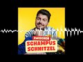 Mein Körper im Energiesparmodus - Schampus &amp; Schnitzel