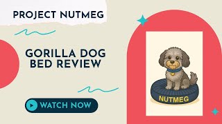 Project Nutmeg: Is Gorilla Dog Bed Worth It?