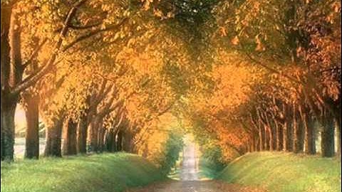 ياسين الجزائري سورة AshShu'ara'_الشعراء