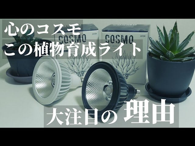 Plant Grow Light] The Strongest in the Universe!? Review of the