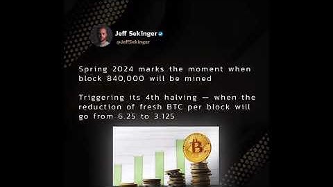 Crypto 🪙| HALVING 2024 : all you need to know {Mini Video}