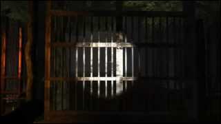 Run Into The Dark - Trailer screenshot 3