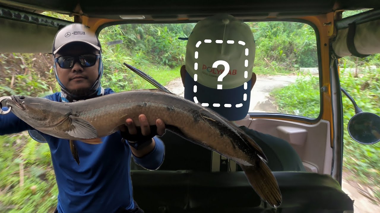 Mi turu deuh nen sangha kan man | Chhiat kan tawk tlat mai