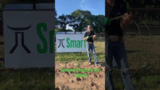 Smarty Training Tips for ropers! @SmartyRodeo
