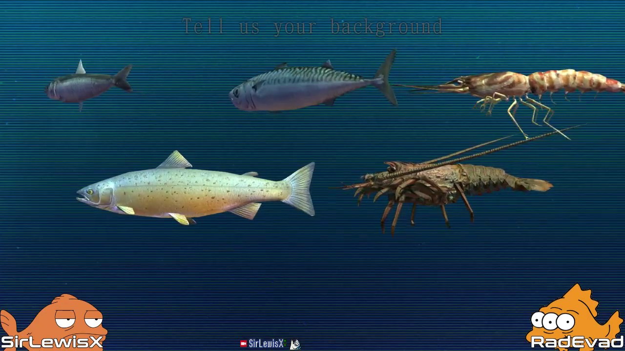 з°|┘ Fish made of lasers [2P] - YouTube