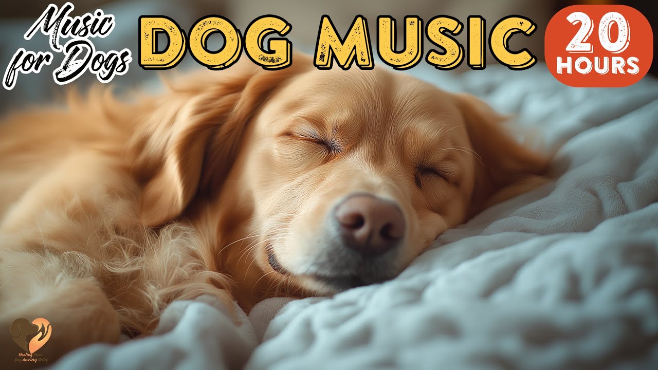 20 HOURS of The Most Relaxing Music for Dogs 🐶Deep Separation Anxiety Music🐶💖Deep sleep Dog Music