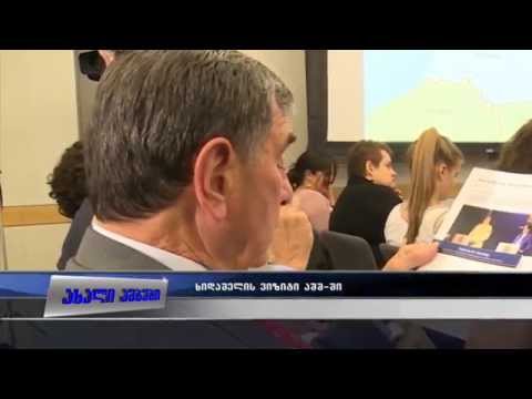 თინათინ ხიდაშელის შეხვედრა ევრილ ჰეინსთან 20.08.2015