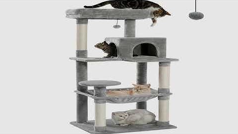 A must-have product! Cat Tree for Indoor Cats 5-Level Cat Tower for Large Cats with Large Hammock